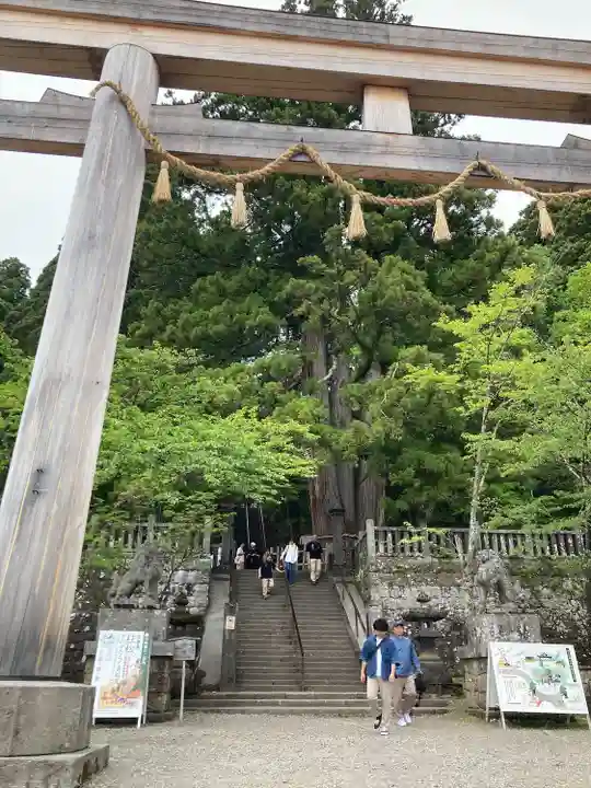 戸隠神社中社(長野県)