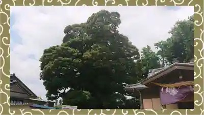 九重神社(埼玉県)