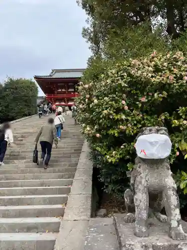 鶴岡八幡宮の狛犬