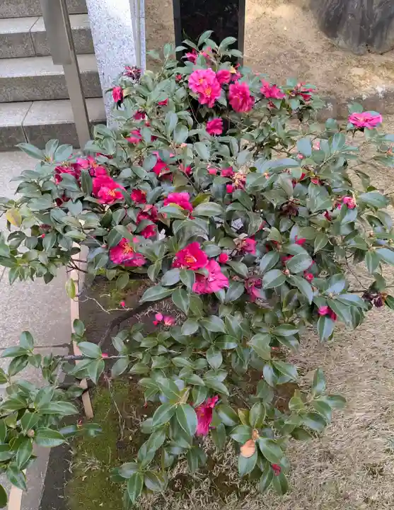 穴八幡宮(東京都)