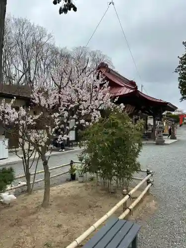 高屋敷稲荷神社(福島県)