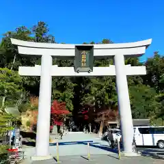 小國神社の鳥居