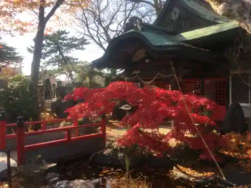 嶺梅院の本殿・本堂