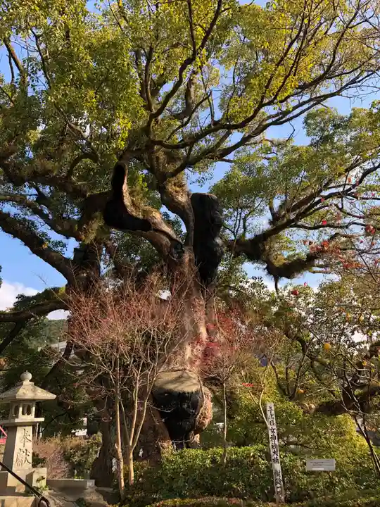 與止日女神社の自然
