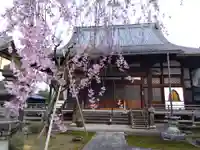 安養寺(福井県)