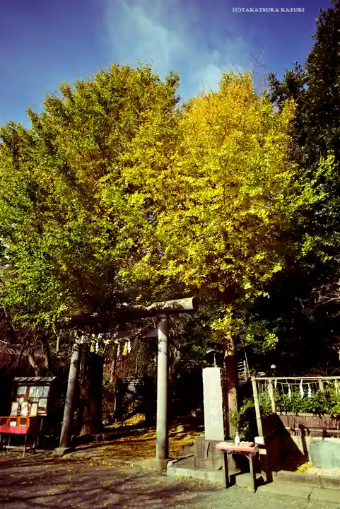 葛原岡神社(神奈川県)