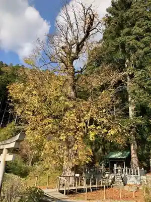 北稲荷神社の自然