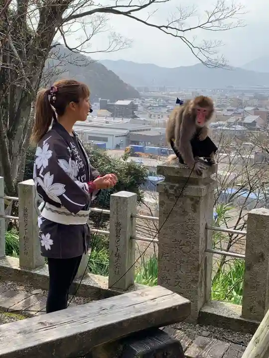 金崎宮(福井県)