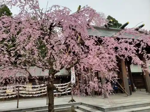 射水神社の庭園