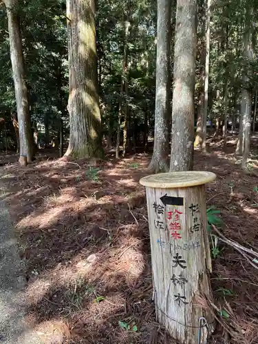 馬背神社(静岡県)