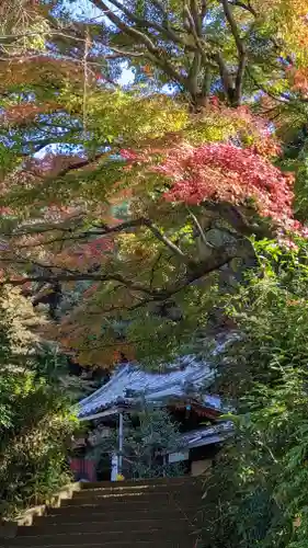 尊勝院(京都府)