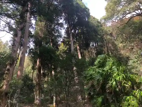蛭児神社の自然