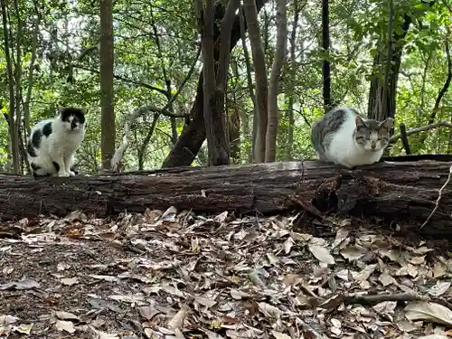 石手寺(愛媛県)