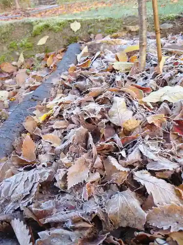 八幡神社の自然