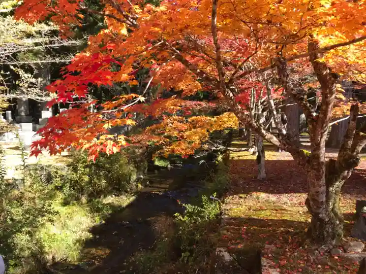 高野山金剛峯寺奥の院(和歌山県)