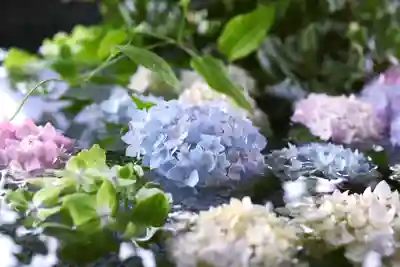 三津厳島神社の手水舎