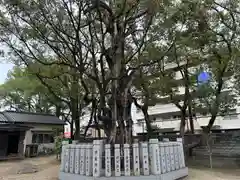 浜の宮天満宮(兵庫県)