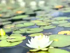 仁科神社(長野県)