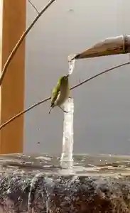 大聖護国寺(群馬県)(2022年01月17日(月) 21時00分04秒投稿)