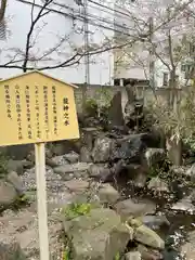 善知鳥神社(青森県)