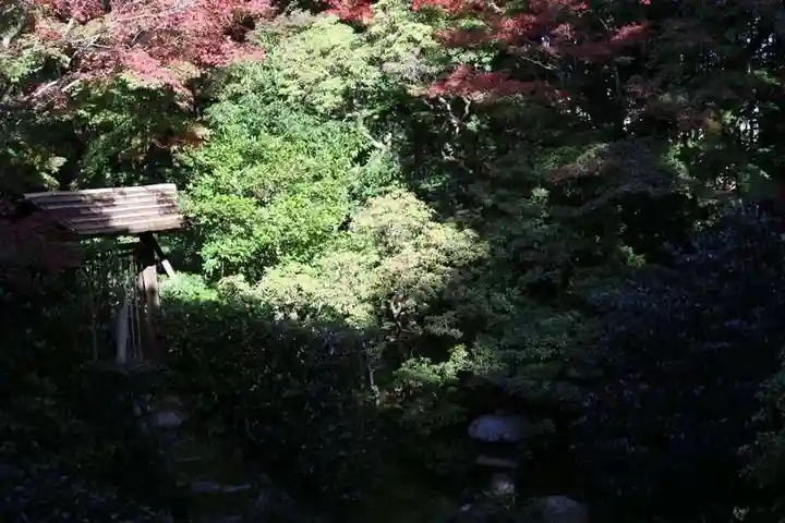 桂春院(京都府)