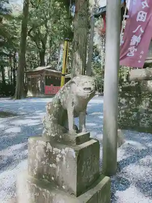 間々田八幡宮の狛犬