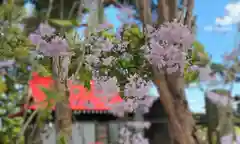 豊景神社の自然