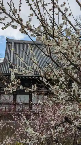  智積院(京都府)