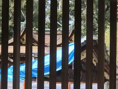 平野神社の本殿・本堂