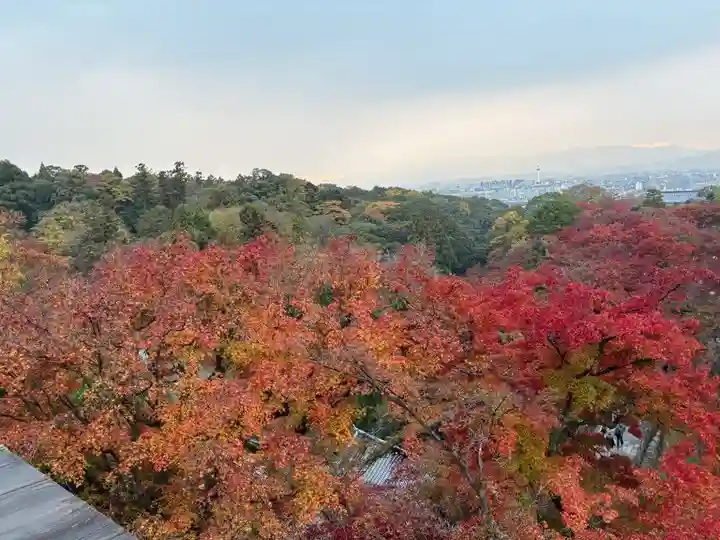 清水寺(京都府)