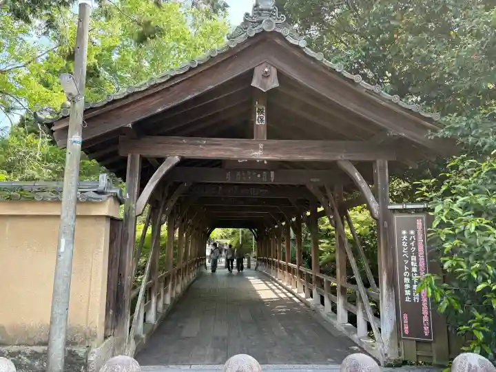 東福禅寺(東福寺)の{uncategorized: "未分類", other: "その他", undefined: "問題あり", building: "その他建物", grave: "お墓", sacred_gate: "鳥居", guardian: "狛犬", statue: "像", buddha: "仏像", history: "歴史", nature: "自然", garden: "庭園", animal: "動物", pagoda: "塔", temizu: "手水舎", mountain_gate: "山門・神門", sanctuary: "本殿・本堂", subordinate: "末社・摂社", art: "芸術", scenery: "景色", jizo: "地蔵", ema: "絵馬", goshuin: "御朱印", omikuji: "おみくじ", items: "授与品その他", amulet: "お守り", goshuincho: "御朱印帳", eats: "食事", festival: "お祭り", votive_dance: "神楽", shichigosan: "七五三参", wedding: "結婚式", experience: "体験その他", initially: "初詣", around: "周辺", anti_infection: "感染症対策"}