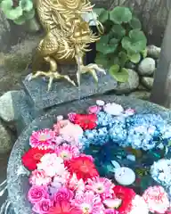 白山神社(新潟県)