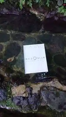 貴船神社のおみくじ