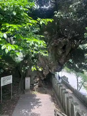 楽法寺（雨引観音）(茨城県)