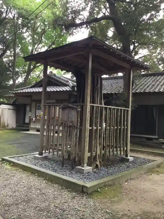 泉神社の自然