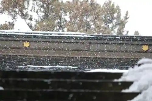滑川神社 - 仕事と子どもの守り神の本殿・本堂