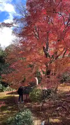 浄住寺(京都府)