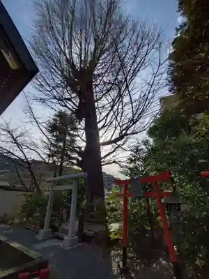 朝日氷川神社(埼玉県)