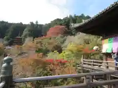 長谷寺の庭園