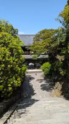 知恩院(京都府)