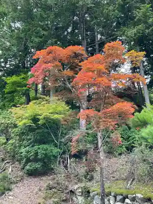 神護寺(京都府)