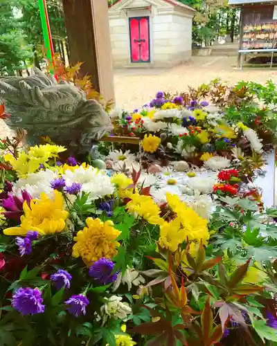 滑川神社 - 仕事と子どもの守り神の手水舎