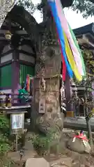 高木神社の自然