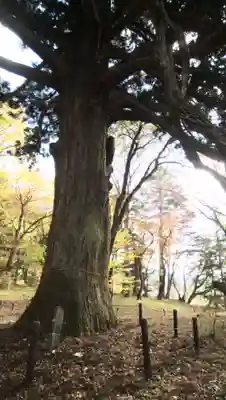 白河神社(福島県)
