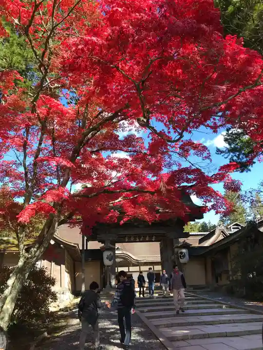 高野山金剛峯寺(和歌山県)