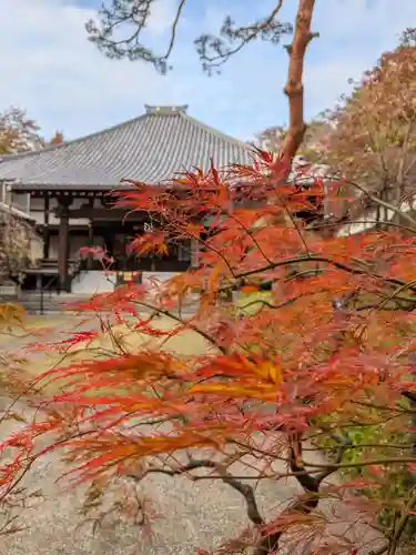 妙法寺(東京都)