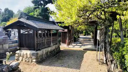 地蔵院(東京都)