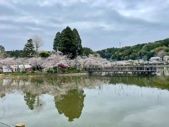 厳島神社 谷弁財天の{uncategorized: "未分類", other: "その他", undefined: "問題あり", building: "その他建物", grave: "お墓", sacred_gate: "鳥居", guardian: "狛犬", statue: "像", buddha: "仏像", history: "歴史", nature: "自然", garden: "庭園", animal: "動物", pagoda: "塔", temizu: "手水舎", mountain_gate: "山門・神門", sanctuary: "本殿・本堂", subordinate: "末社・摂社", art: "芸術", scenery: "景色", jizo: "地蔵", ema: "絵馬", goshuin: "御朱印", omikuji: "おみくじ", items: "授与品その他", amulet: "お守り", goshuincho: "御朱印帳", eats: "食事", festival: "お祭り", votive_dance: "神楽", shichigosan: "七五三参", wedding: "結婚式", experience: "体験その他", initially: "初詣", around: "周辺", anti_infection: "感染症対策"}