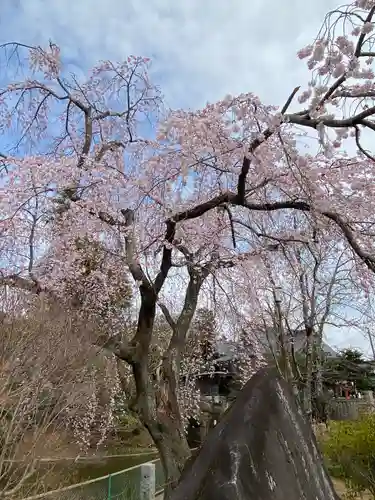 境香取神社の庭園