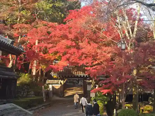 禅林坊(滋賀県)